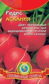 Купить оптом в Ботанике семена Редис Аскания Плз бренд Плазмас