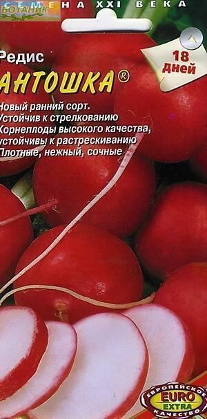 Купить оптом в Ботанике семена Редис Антошка Аэл бренд Аэлита