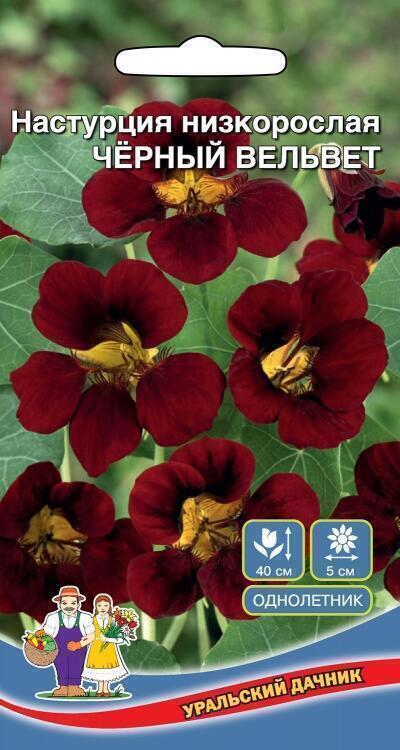 Купить оптом в Ботанике семена Настурция Черный вельвет УД бренд Уральский дачник