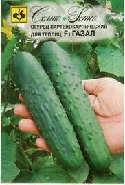 Купить оптом в Ботанике семена Огурец Газал F1 Сем бренд Семко