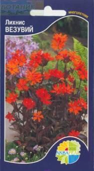 Купить оптом в Ботанике семена Лихнис Везувий Акв бренд Акварель