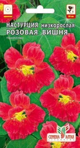 Купить оптом в Ботанике семена Настурция Розовая вишня СА бренд Семена Алтая