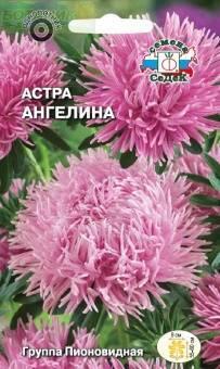Купить оптом в Ботанике семена Астра Ангелина Сед бренд СеДеК