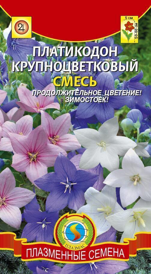Купить оптом в Ботанике семена Платикодон крупноцветковый смесь Плз бренд Плазмас