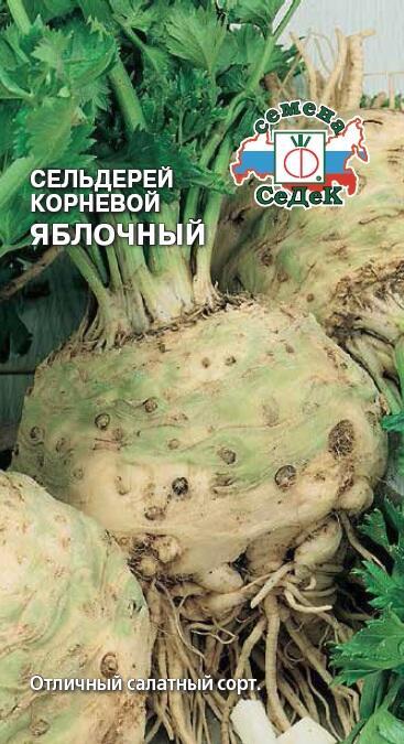 Купить оптом в Ботанике семена Сельдерей Яблочный корневой Сед бренд СеДеК