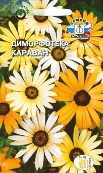 Купить оптом в Ботанике семена Диморфотека Караван Сед бренд СеДеК