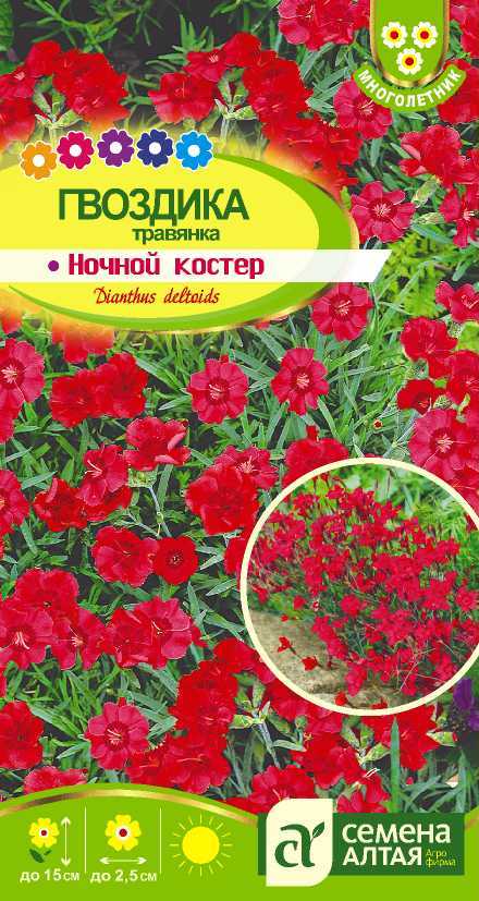 Купить оптом в Ботанике семена Гвоздика травянка Ночной костёр СА бренд Семена Алтая