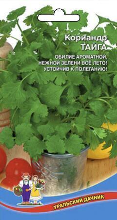 Купить оптом в Ботанике семена Кориандр (кинза) Тайга УД бренд Уральский дачник