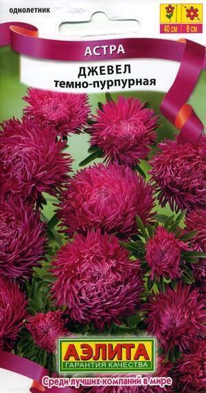 Купить оптом в Ботанике семена Астра Джевел темно-пурпурная Аэл бренд Аэлита