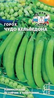 Купить оптом в Ботанике семена Горох Чудо Кельведона Сед бренд СеДеК