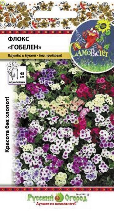 Купить оптом в Ботанике семена Флокс Гобелен специальная смесь НК бренд НК
