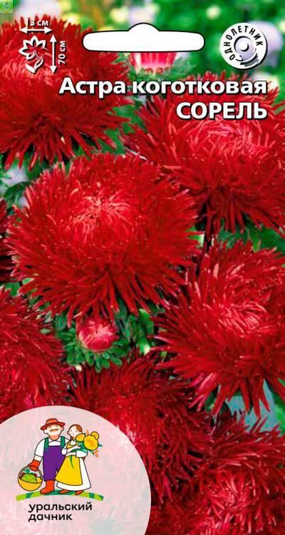 Купить оптом в Ботанике семена Астра Сорель УД бренд Уральский дачник