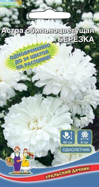 Купить оптом в Ботанике семена Астра Березка УД бренд Уральский дачник