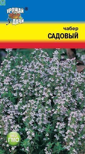 Купить оптом в Ботанике семена Чабер Садовый УУ бренд Урожай Удачи