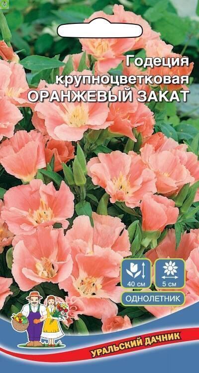 Купить оптом в Ботанике семена Годеция Оранжевый Закат УД бренд Уральский дачник