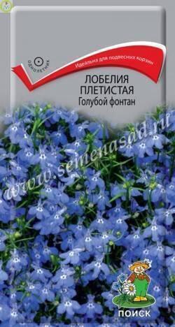 Купить оптом в Ботанике семена Лобелия Голубой фонтан Поиск бренд Поиск