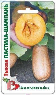Купить оптом в Ботанике семена Тыква Пастила-Шампань Био  бренд Биотехника