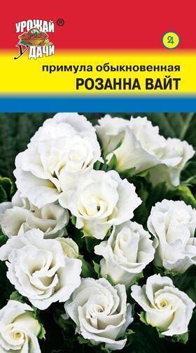 Купить оптом в Ботанике семена Примула Розанна F1 вайт УУ бренд Урожай Удачи