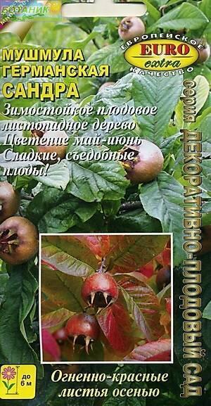 Купить оптом в Ботанике семена Мушмула Сандра германская Аэл бренд Аэлита