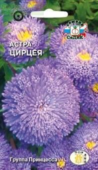 Купить оптом в Ботанике семена Астра Цирцея принцесса Сед бренд СеДеК