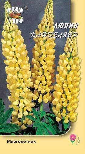 Купить оптом в Ботанике семена Люпин Канделябр УУ бренд Урожай Удачи