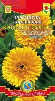Купить оптом в Ботанике семена Календула Кэндимен желтый Плз бренд Плазмас