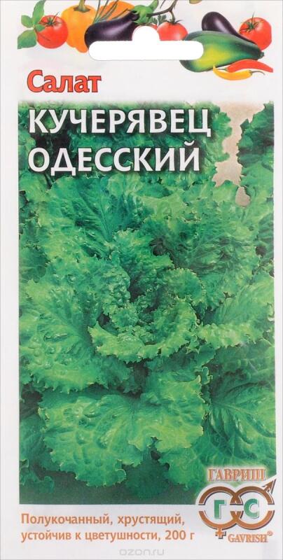 Купить оптом в Ботанике семена Салат Кучерявец Одесский Гав бренд Гавриш
