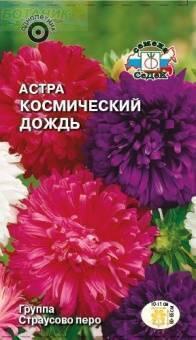 Купить оптом в Ботанике семена Астра Космический дождь Сед бренд СеДеК