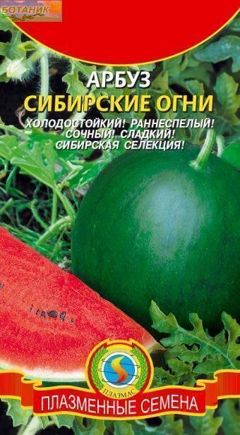 Купить оптом в Ботанике семена Арбуз Сибирские огни Плз бренд Плазмас