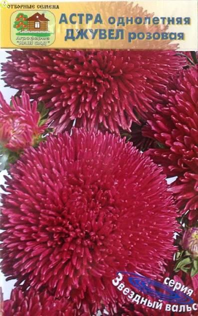 Купить оптом в Ботанике семена Астра Джувел розовая Наш бренд Наш сад