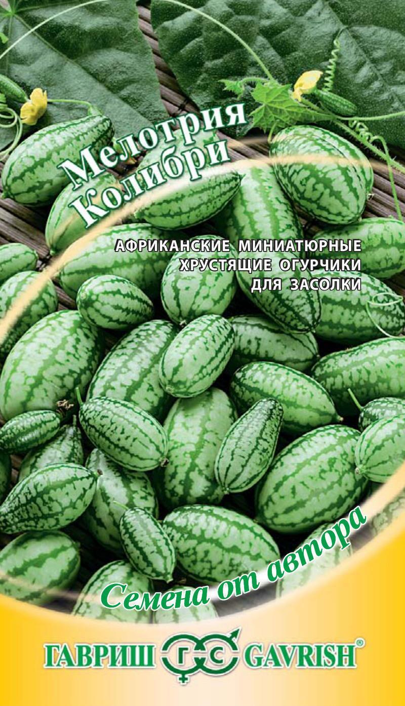 Купить оптом в Ботанике семена Мелотрия Колибри Гав бренд Гавриш