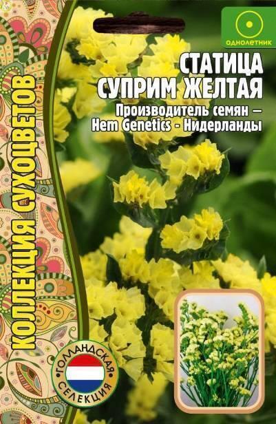 Купить оптом в Ботанике семена Статица Суприм Желтая Реш бренд Решение, ООО