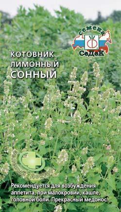 Купить оптом в Ботанике семена Котовник Сонный лимонный Сед бренд СеДеК