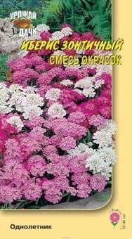 Купить оптом в Ботанике семена Иберис Зонтичный смесь УУ бренд Урожай Удачи