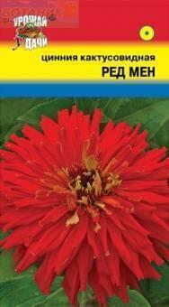 Купить оптом в Ботанике семена Цинния Ред Мен УУ бренд Урожай Удачи