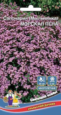 Купить оптом в Ботанике семена Сапонария Морская пена УД бренд Уральский дачник
