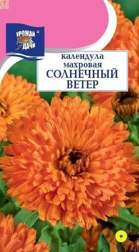 Купить оптом в Ботанике семена Календула Солнечный ветер махровая УУ бренд Урожай Удачи