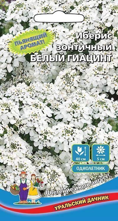 Купить оптом в Ботанике семена Иберис Белый гиацинт УД бренд Уральский дачник