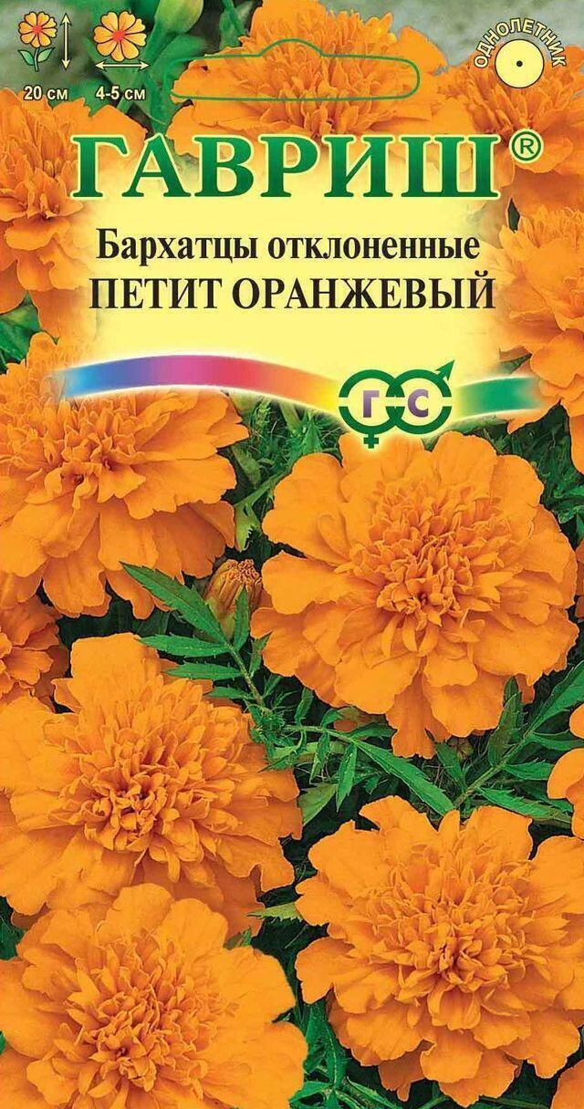 Купить оптом в Ботанике семена Бархатцы Петит оранжевый Гав бренд Гавриш
