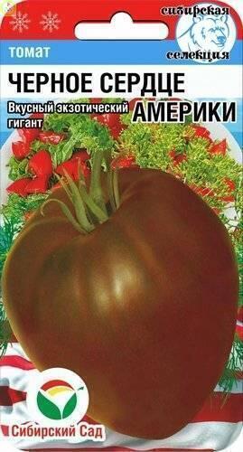 Купить оптом в Ботанике семена Томат Черное сердце Америки СС бренд Сиб.сад