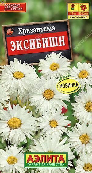 Купить оптом в Ботанике семена Хризантема Эксибишн Аэл бренд Аэлита