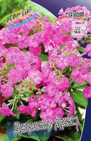 Купить оптом в Ботанике Флокс Джуниор Дрим 2 шт