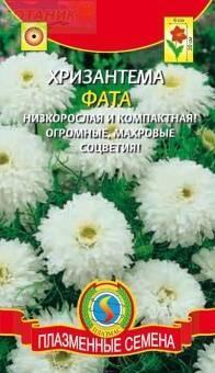 Купить оптом в Ботанике семена Хризантема Фата Плз бренд Плазмас