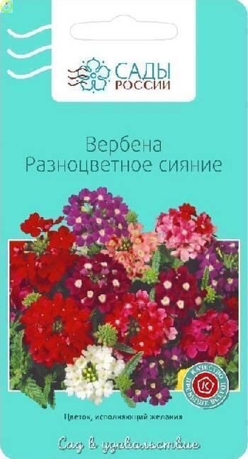 Купить оптом в Ботанике семена Вербена Разноцветное сияние СиО бренд Сад и огород