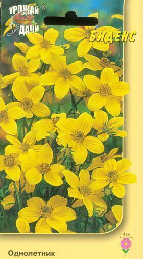 Купить оптом в Ботанике семена Биденс Золотая звезда УУ бренд Урожай Удачи