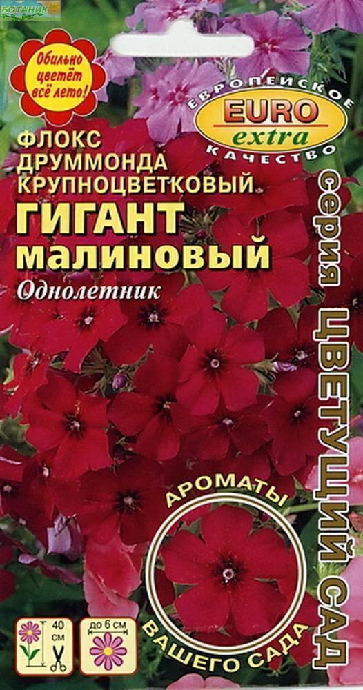 Купить оптом в Ботанике семена Флокс Гигант малиновый Аэл бренд Аэлита