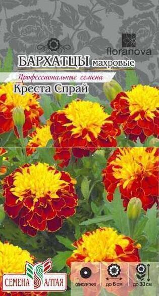 Купить оптом в Ботанике семена Бархатцы Креста Спрай СА бренд Семена Алтая
