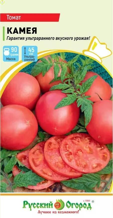 Купить оптом в Ботанике семена Томат Камея НК бренд НК