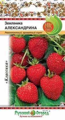 Купить оптом в Ботанике семена Земляника Александрина НК бренд НК