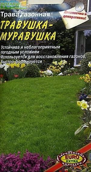 Купить оптом в Ботанике семена Трава газонная Травушка-муравушка Аэл бренд Аэлита